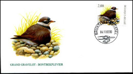 3139 - FDC - Bontbekplevier - Buzin #2 P - 2001-2010