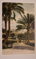 Carte Postale NICE : Vue Jardin Public - Parks, Gärten