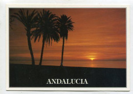 AK 213459 SPAIN - Andalucia - Andere & Zonder Classificatie