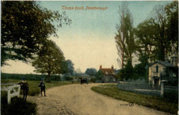 Peterborough - Thorpe Road - Altri & Non Classificati