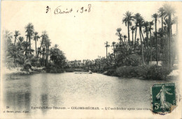 Extreme-Sud Oranais, Colomb-Bechar, L`Cued-Bechar Apres Une Crue - Other & Unclassified