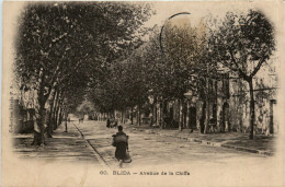 Blida, Avenue De La Chiffa - Blida