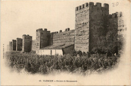 Tlemcen, Ruines De Mansourah - Tlemcen