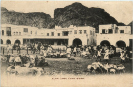 Aden Camp - Camel Market - Yemen