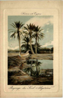 Algerien Sonstige, Scenes Et Types, Paysage Du Sud Algerien - Sonstige & Ohne Zuordnung