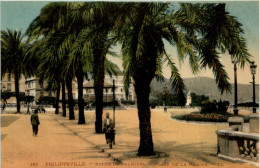 Philippeville, Allee De Palmiers, Place De La Marine - Sonstige & Ohne Zuordnung