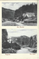 ROMANIA 1929 TUSNAD - VILLA MARISKA AND VILLA ALECU, BUILDINGS, RAILWAYS, FOREST, MOUNTAIN LANDSCAPE - Roumanie