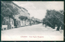 Livorno Città Viale Regina Margherita Alterocca 6003 Cartolina WX1530 - Livorno