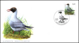 3268 - FDC - Kapmeeuw - Buzin #1 P - 2001-2010