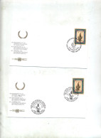 Lettre  Fdc 1988 New York Wien Droit Des Hommes - FDC