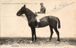 Jamaique La France Chevaline Race 1909 Horse Signed Old PB Postcard - Ippica