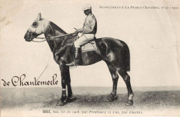 Iosi La France Chevaline Race 1908 Horse Signed Old PB Postcard - Hípica