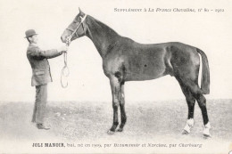 Joli Manoir La France Chevaline Race 1909 Horse Signed Old PB Postcard - Paardensport