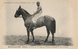 Guillaume Tell La France Chevaline 1906 Race Horse & Jockey PB Postcard - Hípica