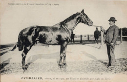 Cymbalier La France Chevaline 1902 Race Horse Antique PB Postcard - Hippisme