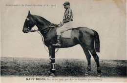 Hautbois La France Chevaline 1907 Race Horse Antique PB Postcard - Horse Show