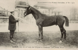 Jasmin La France Chevaline 1909 Race Horse Antique PB Postcard - Hippisme