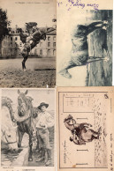 French Horse Racing 4x Antique Race Training Equestrian Postcard S - Reitsport