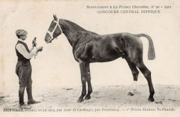 Joinville La France Chevaline Race Horse Antique 1912 PB Postcard - Horse Show