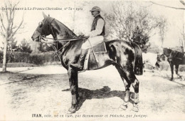 Ivan La France Chevaline Race Horse Antique 1908 PB Postcard - Paardensport