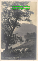 R396491 Rydal Water. Early Morning. Abraham Series. 1913 - Monde