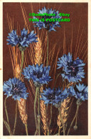 R396180 Cornflower. Stehli. No. 34. Postcard - Monde
