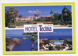 AK 213484 SPAIN - La Gomera - Hotel Jardin Tecina - Gomera