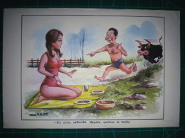 ARGENTINE, Carte Postale Vintage, Illustration Amusante Avec Des Caricatures Drôles Et Hilarantes. Comédie, Humour.. - Humour