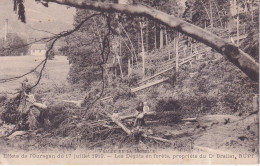 RUPT -  Dégats En Forêts,propriété Du  Dr Brallets - Otros & Sin Clasificación