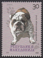 Macedonia 2008 Fauna Dogs Pets Mops, MNH - Macédoine Du Nord