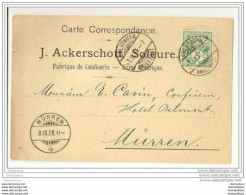 51 - 6 - Carte Envoyée De Solothurn à Mürren 1906 - Brieven En Documenten