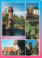 Vignes - Le Vignble - Multivues - CPM - Voir Scans Recto-Verso - Weinberge