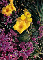 Antilles - Fleurs Des Antilles - Alamanda Et Bougainvillier - CPM - Voir Scans Recto-Verso - Other & Unclassified