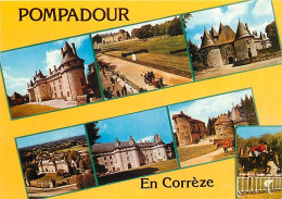 19 - Pompadour - Multivues - Chevaux - CPM - Voir Scans Recto-Verso - Arnac Pompadour