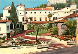 06 - Grasse - Molinard - Parfumeur à Grasse Depuis 1849 - Art Peinture - CPM - Carte Neuve - Voir Scans Recto-Verso - Grasse