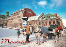 Animaux - Chevaux - Canada - Montréal - À La Place Lacques-Cartier, Même En Hiver, Les Calèches, De Couleurs Vives, Sont - Horses