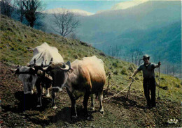 Animaux - Vaches - Labeur - Attelage De Bœufs - Paysans - CPM - Voir Scans Recto-Verso - Koeien