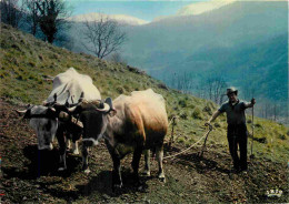 Animaux - Vaches - Labeur - Attelage De Bœufs - Paysans - CPM - Voir Scans Recto-Verso - Mucche