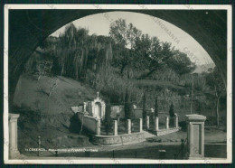 Cosenza Città Monumento F.lli Bandiera Foto FG Cartolina ZK1697 - Cosenza