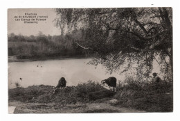 89 ST SAINT SAUVEUR EN PUISAYE Environs De - Les Etangs De Puisaye Chassaing - Blin Mouchon - Chèvres Et Leur Gardienne - Saint Sauveur En Puisaye