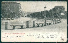 Livorno Città Viale Regina Margherita PIEGHINA Cartolina WX1581 - Livorno