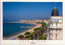 CANNES      ( ALPES MARITIMES ) - Cannes