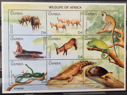 Gambia 1996, Wildlife Of Africa, MNH S/S - Gambie (1965-...)