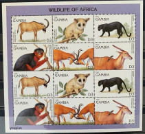 Gambia 1996, Wildlife Of Africa, MNH Sheetlet - Gambia (1965-...)