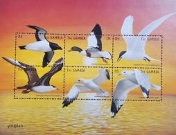 Gambia 1999, Seabirds, MNH S/S - Gambia (1965-...)