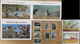 Gambia 2000, Animals In A Game Reserve & Wildlife Of The African Bushveld, Five MNH S/S And Stamps Set - Gambie (1965-...)