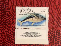 TONGA NIUAFO’OU 1984 1v Neuf MNH ** Mi 44 Marine Mammals Whales Zealand - Ballenas