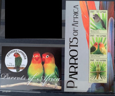 Gambia 2011, Parrots Of Africa, Two MNH S/S With One Unusual S/S - Gambia (1965-...)