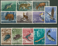 Jugoslawien 1954 Tiere: Bartgeier, Braunbär, Lachsforelle 738/49 Gestempelt - Used Stamps