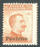 PECHINO 1917-18 20 C. NUOVO SASSONE N. 12 * GOMMA ORIGINALE F.TO RAYBAUDI - Pékin